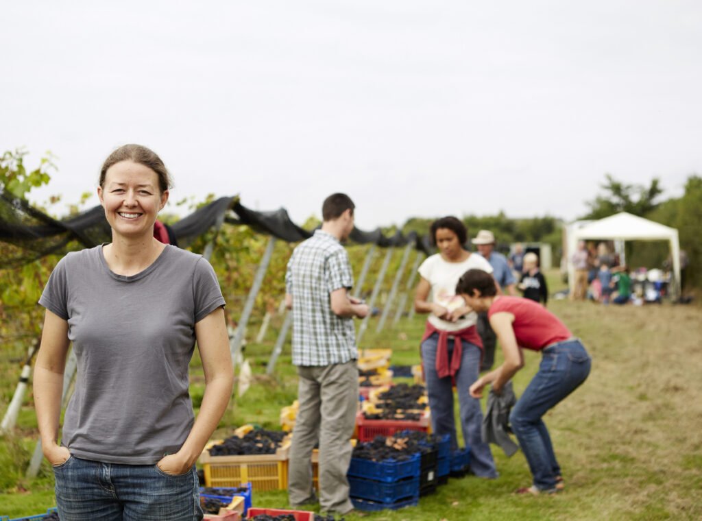 A group of young people, grape pickers, family and the founder of the vineyard celebrating the end of the picking.